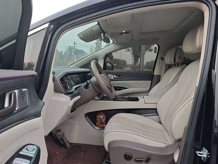 Фото 6 - Denza D9