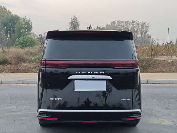 Фото 7 - Denza D9