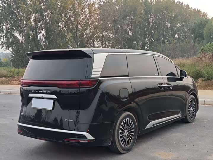 Фото 8 - Denza D9