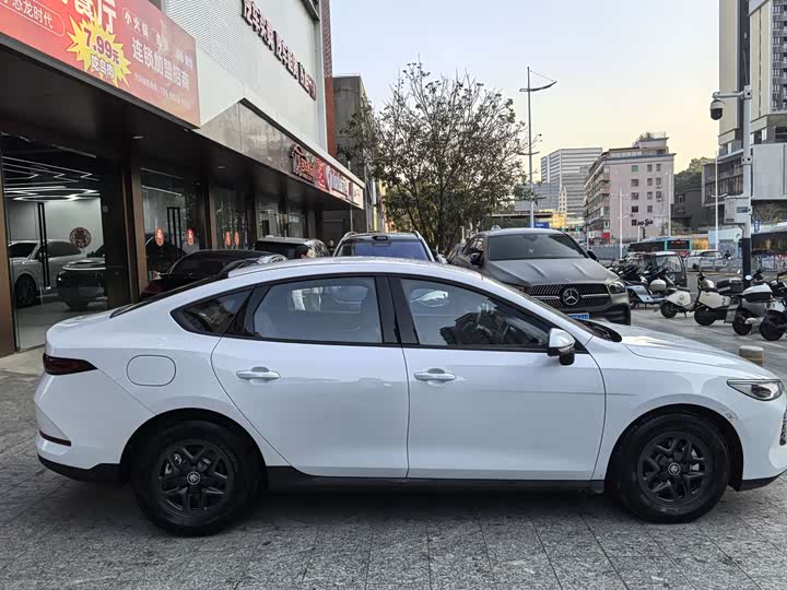 Фото 4 - BYD Qin Plus