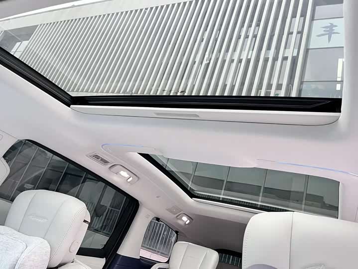 Фото 16 - Buick GL8 Century