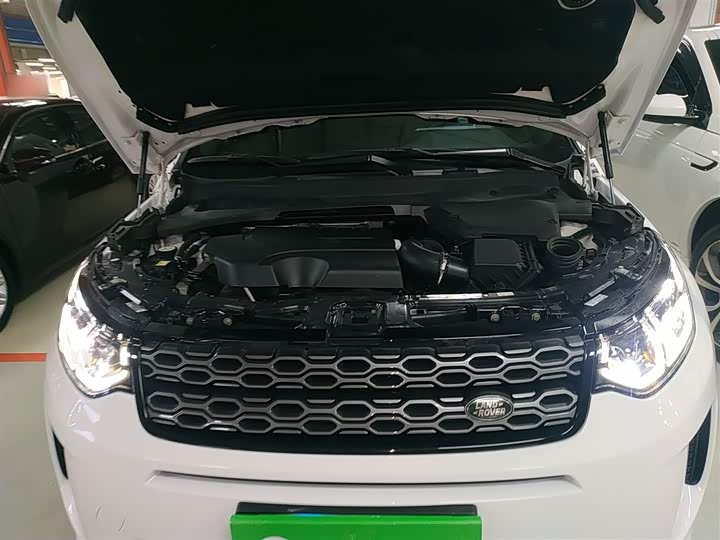 Фото 20 - Land Rover Discovery Sport