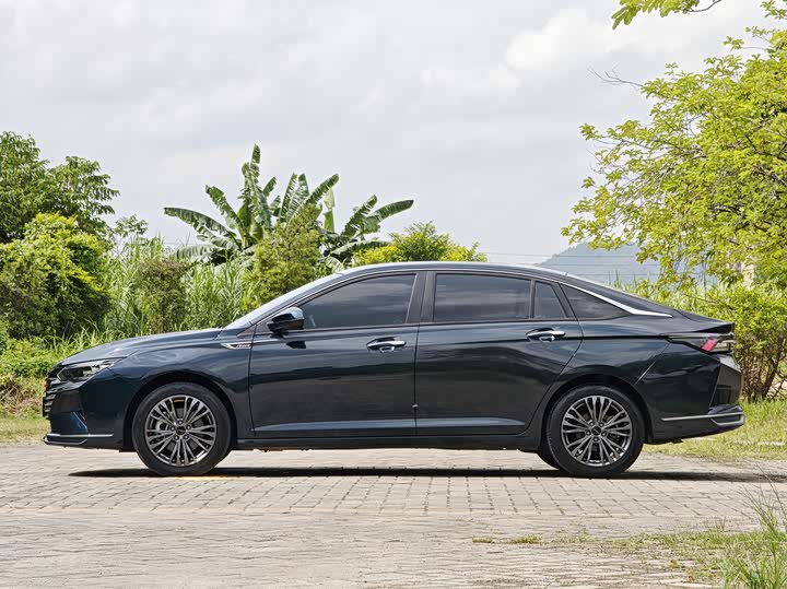 Фото 19 - Dongfeng Aeolus Yixuan Max