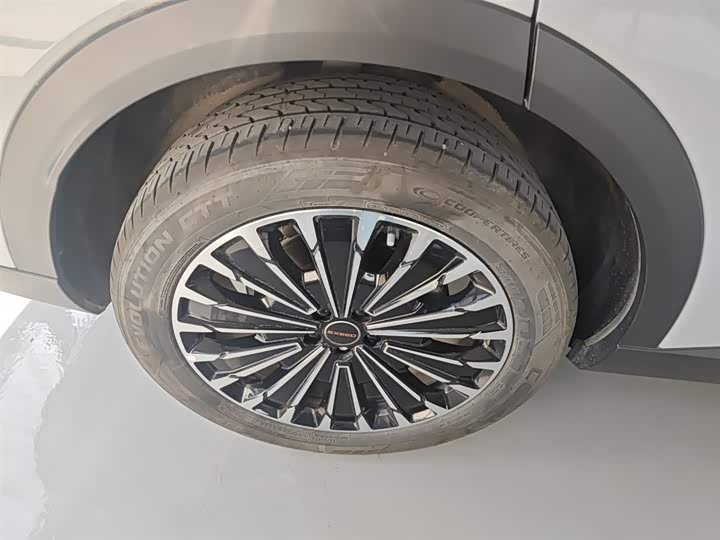 Фото 26 - Exeed RX C-DM Hybrid