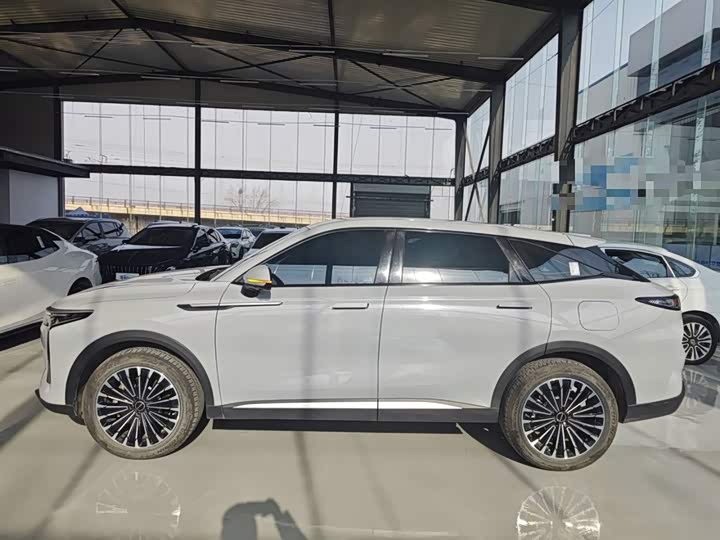 Фото 5 - Exeed RX C-DM Hybrid