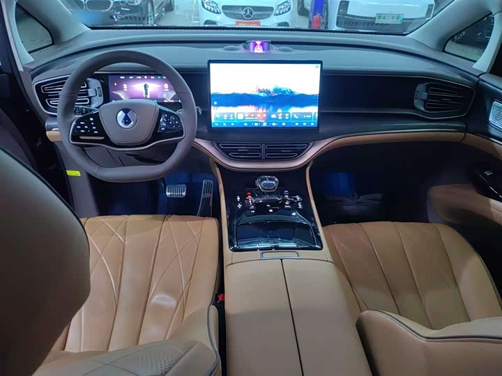 Фото 10 - Denza D9