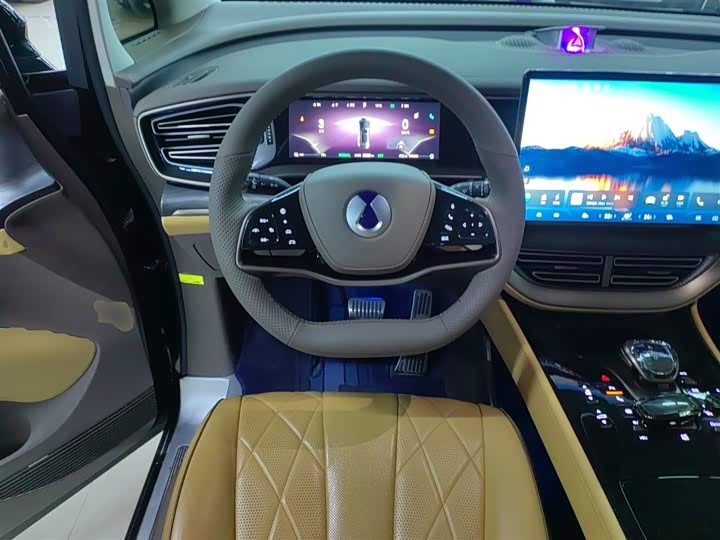 Фото 11 - Denza D9