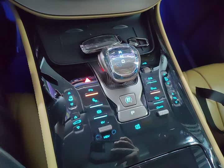 Фото 14 - Denza D9