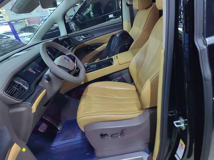 Фото 15 - Denza D9