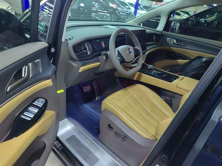 Фото 16 - Denza D9