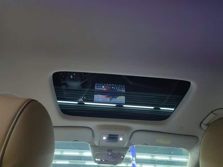 Фото 18 - Denza D9