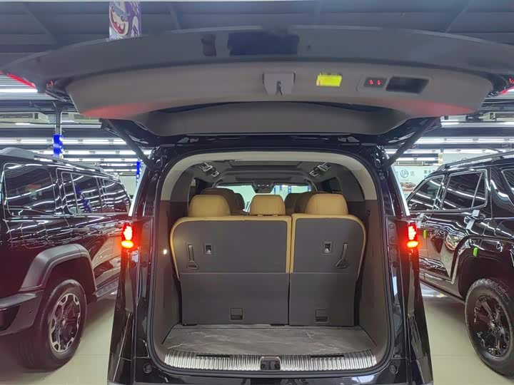 Фото 19 - Denza D9