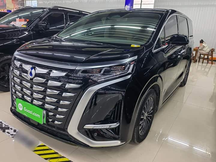 Фото 2 - Denza D9