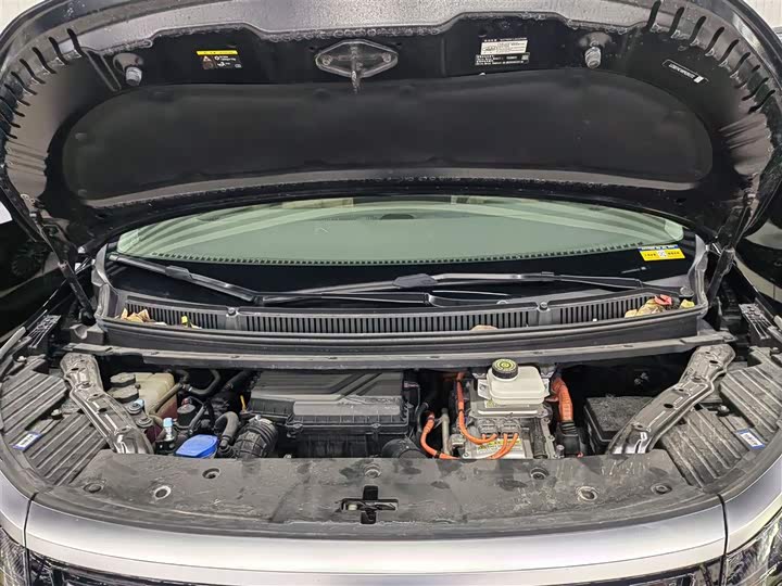 Фото 20 - Denza D9