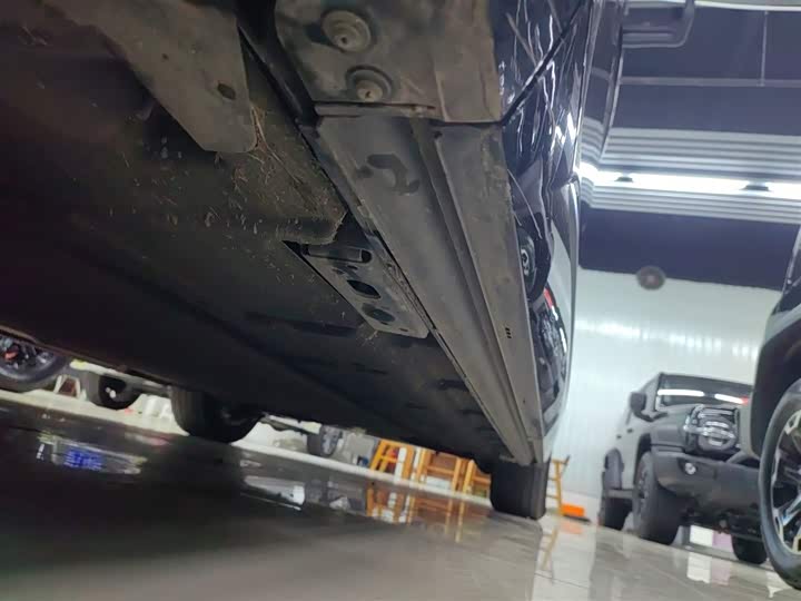 Фото 22 - Denza D9