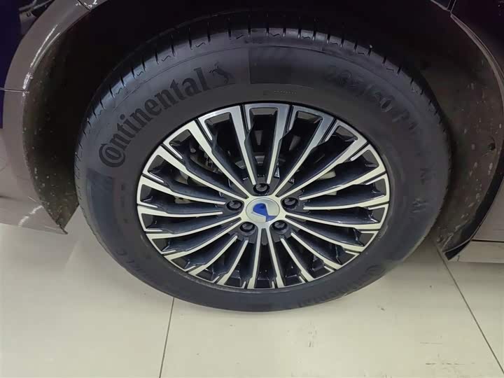 Фото 26 - Denza D9