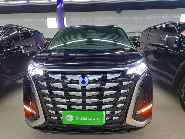 Фото 3 - Denza D9