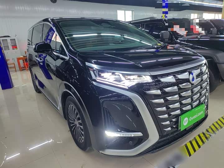 Фото 4 - Denza D9