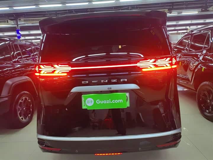 Фото 6 - Denza D9