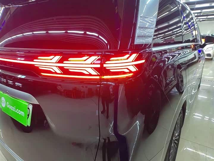 Фото 8 - Denza D9