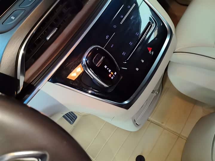 Фото 14 - Buick GL8 ES