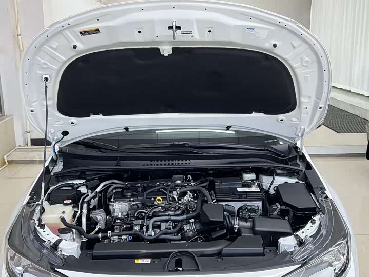 Фото 24 - Toyota Levin