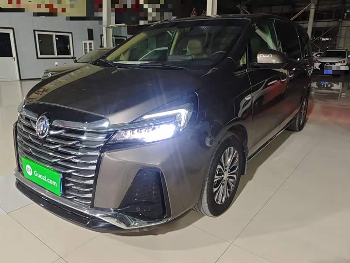 Фото 1 - Buick GL8 ES