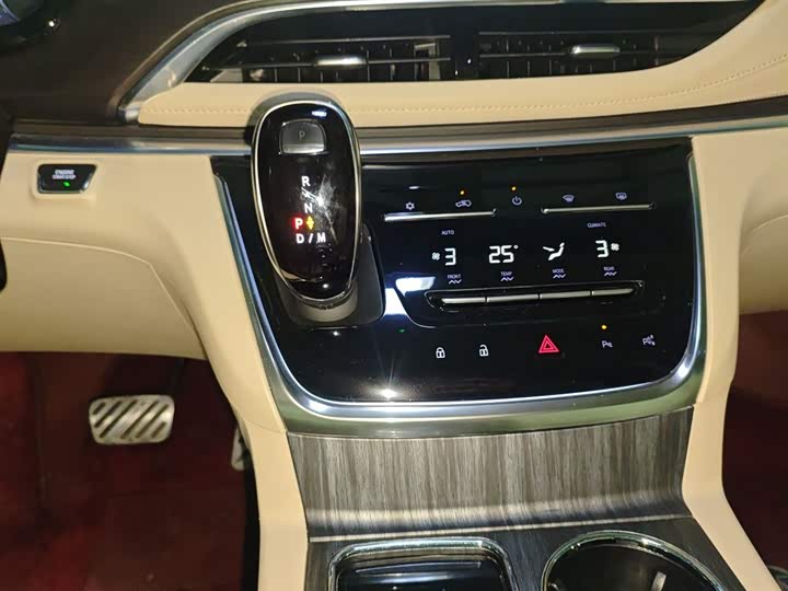 Фото 14 - Buick GL8 ES