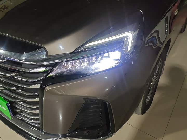 Фото 24 - Buick GL8 ES