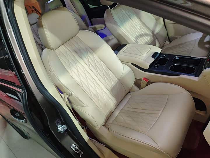 Фото 25 - Buick GL8 ES