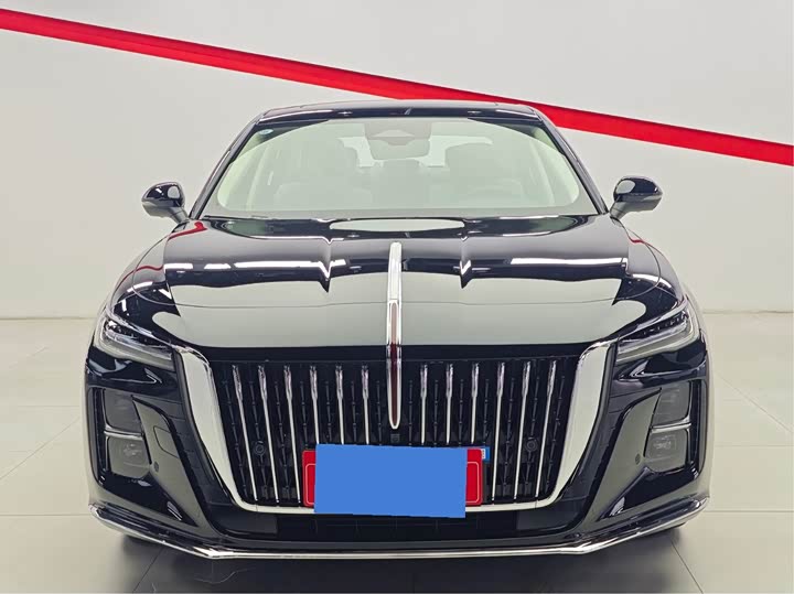 Фото 2 - Hongqi H5