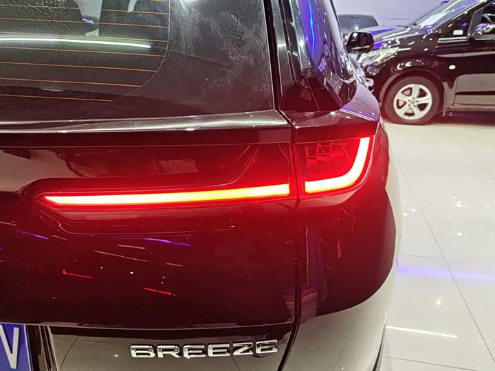 Фото 8 - Honda Breeze