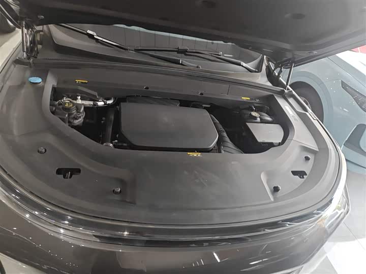 Фото 19 - LiXiang L9