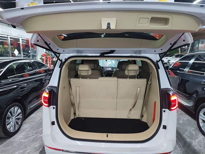 Фото 19 - Buick GL8 ES