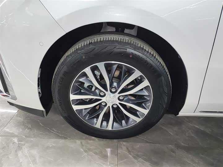 Фото 23 - Buick GL8 ES