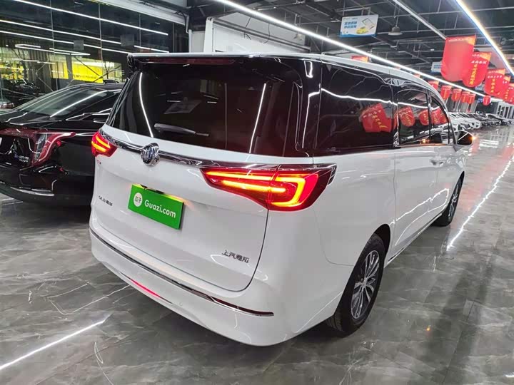 Фото 7 - Buick GL8 ES