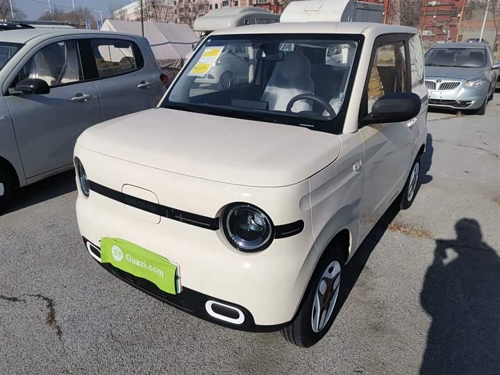 Фото 2 - Geely Galaxy Panda Mini