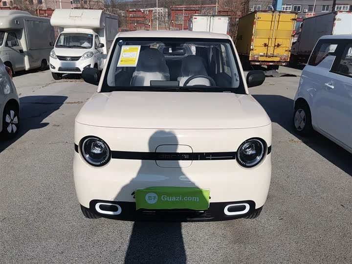 Фото 3 - Geely Galaxy Panda Mini