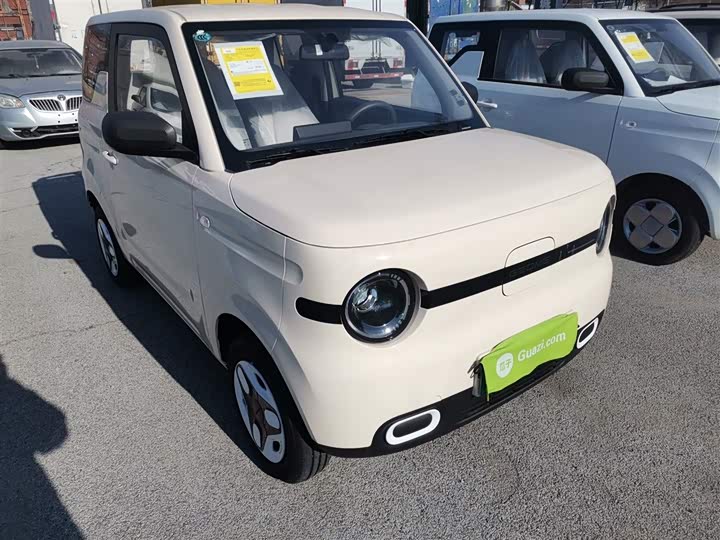 Фото 4 - Geely Galaxy Panda Mini