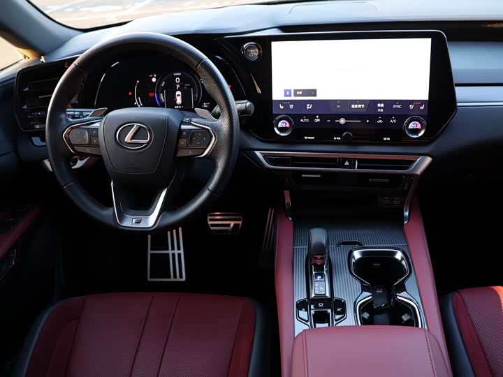 Фото 11 - Lexus RX