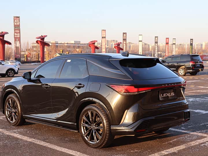 Фото 4 - Lexus RX