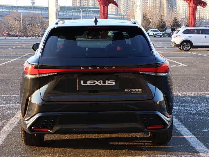 Фото 5 - Lexus RX