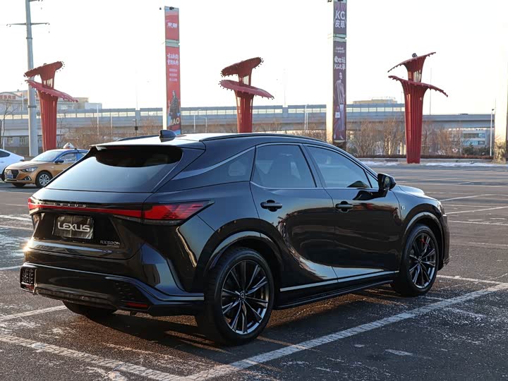 Фото 6 - Lexus RX