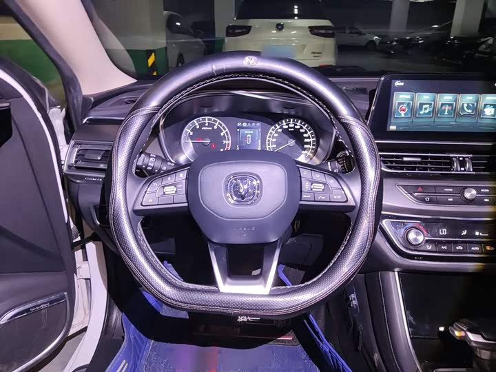 Фото 11 - Changan Raeton CC