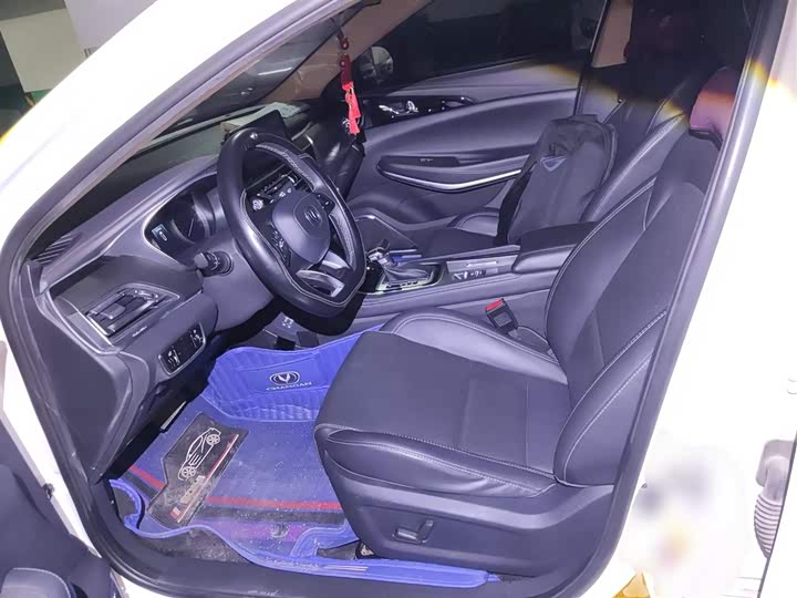 Фото 15 - Changan Raeton CC