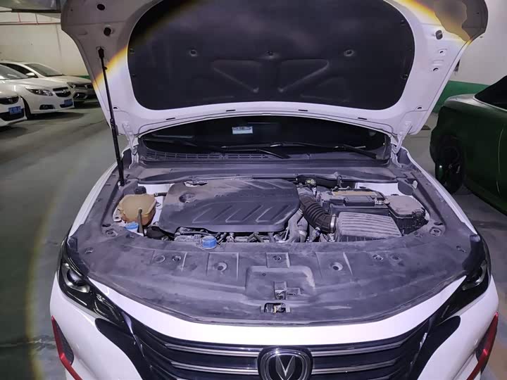 Фото 20 - Changan Raeton CC