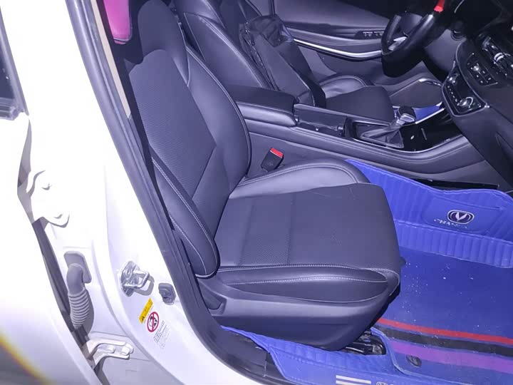 Фото 25 - Changan Raeton CC