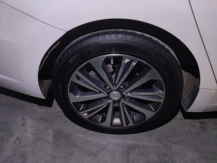 Фото 26 - Changan Raeton CC