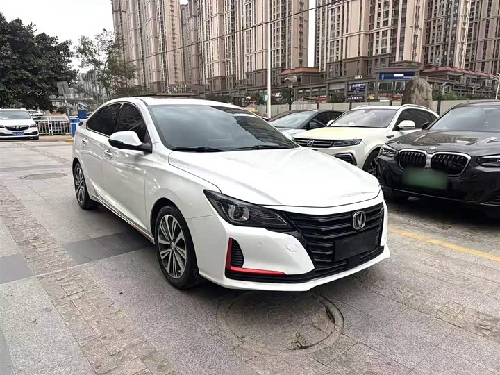 Фото 4 - Changan Raeton CC