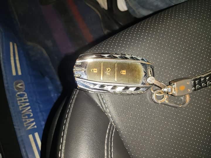 Фото 9 - Changan Raeton CC